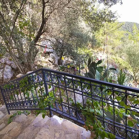 Central House With Shared Pool Near Paradise Bay In Dom wakacyjny Bodrum